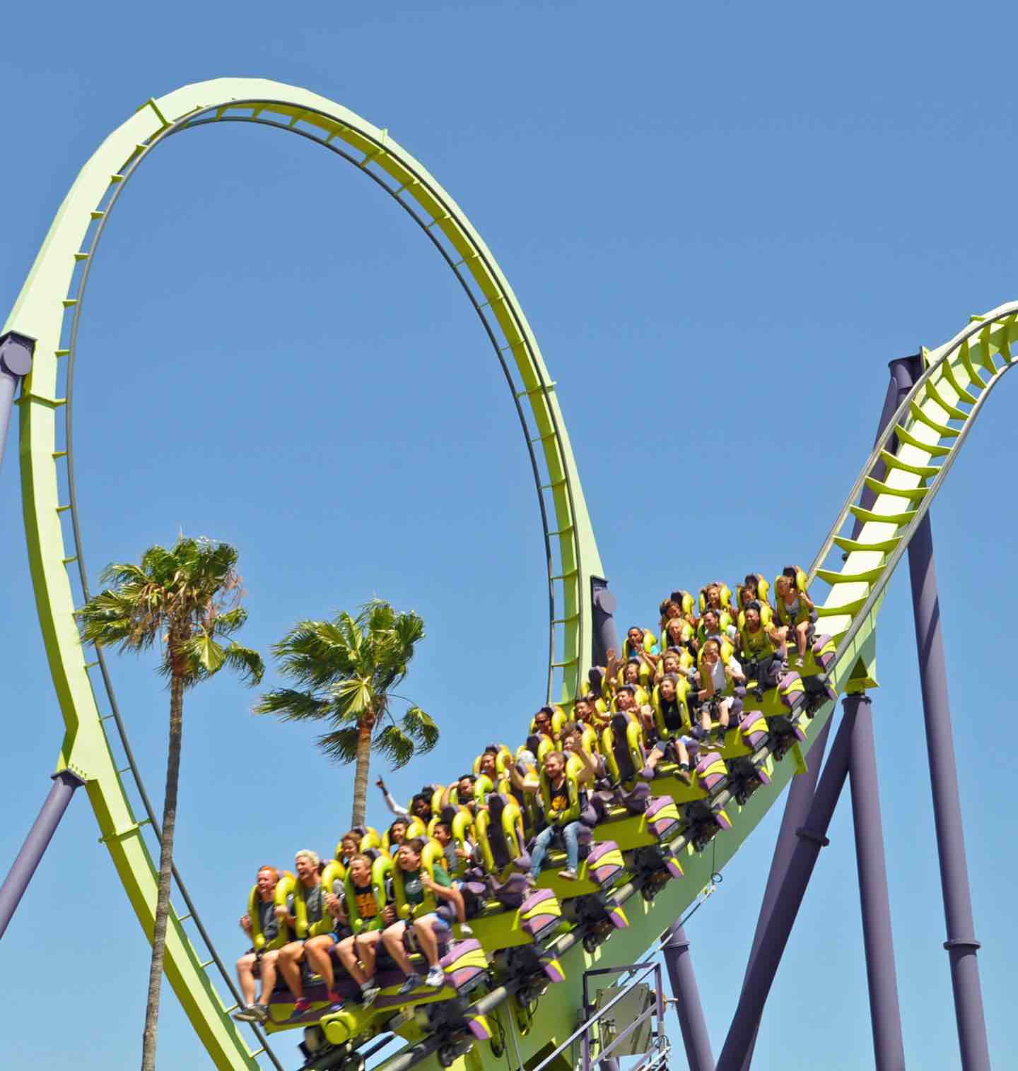 Business Can Be A Roller Coaster. Literally.