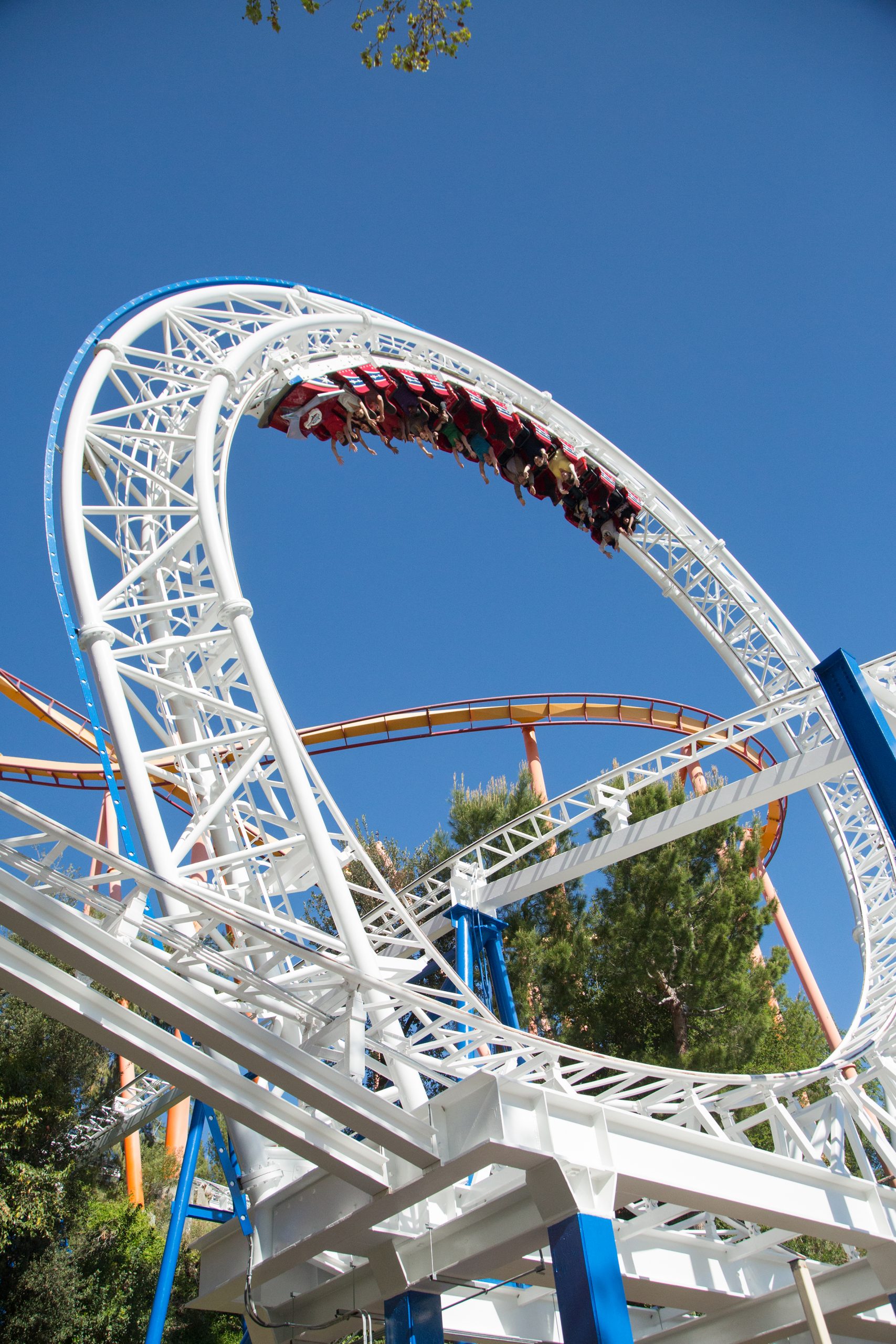 How Much Are Magic Mountain Tickets At Costco - ojuqxq1